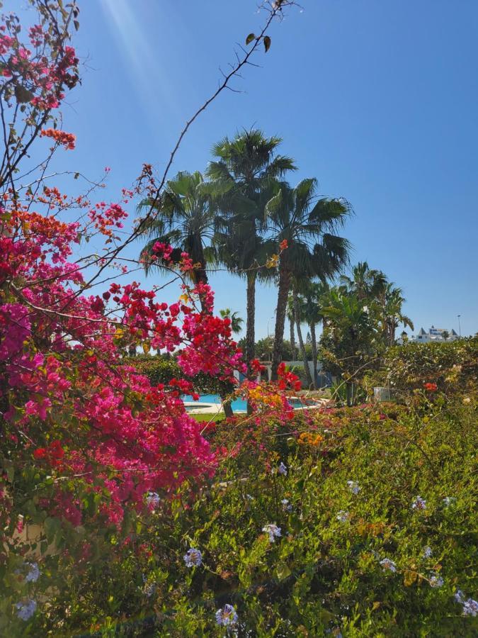 Bajo En Primera Linea De Vera-playa Con Piscina Privada! Apartment *